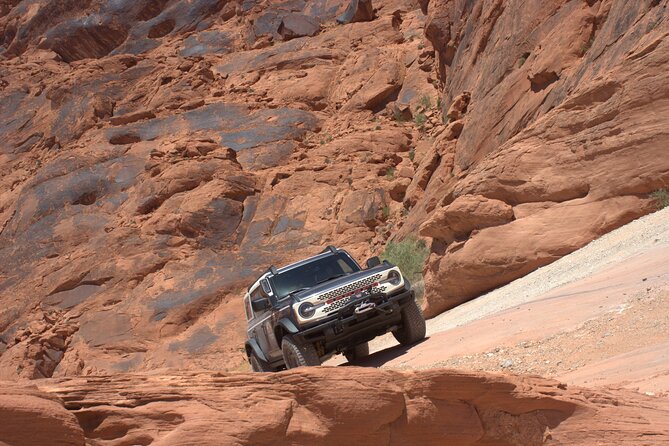 Dark Skies Stargazing Adventure With Luxury Bronco Rental - Discovering the Joys of Stargazing
