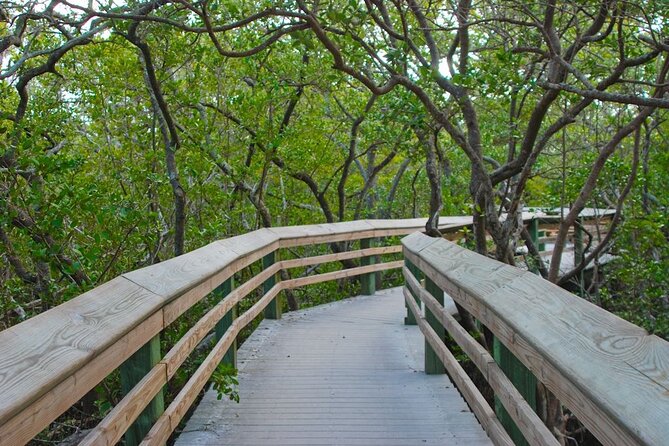 De Soto National Memorial Nature Walk Eco Tour - Location and Meeting Information