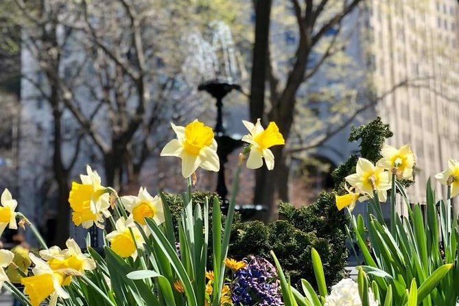 Discover the Queer Ecology of West Chelsea and a High Line Photo-shoot - The High Line: A Unique Urban Space