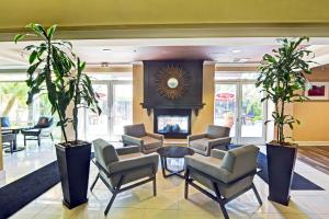 Embassy Suites Valencia - Dining Options