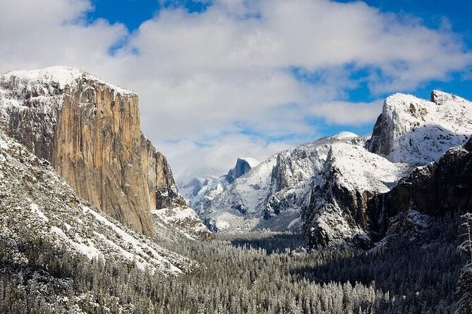 Enchanting Small Group Yosemite National Park Tour From Cupertino - Communication and Confirmation Process