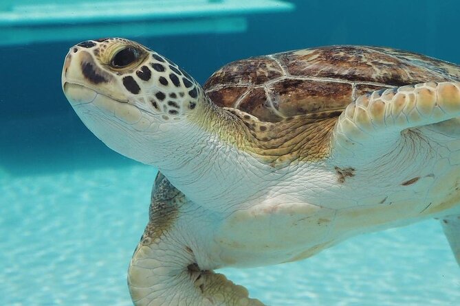 Explore Wildlife Sanctuaries on the WILD Palm Beaches Tour - Itinerary and Schedule