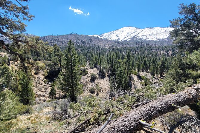 From San Diego: Two-Day Kayaking & Hiking at Big Bear Lake - Meals Included