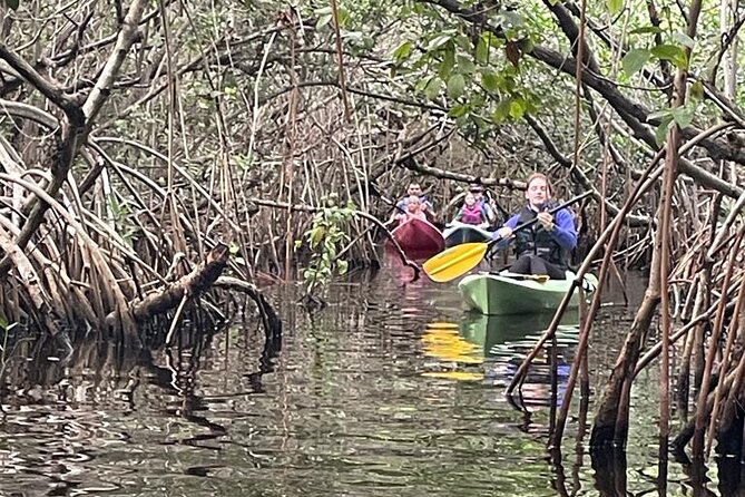 Full Day Everglades Combo Motorboat Eco and Kayak Tour - Meeting and Pickup