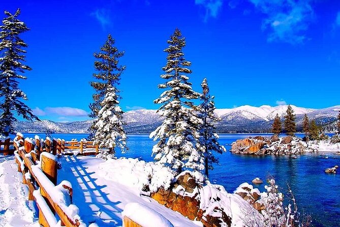 Full Day Private Lake Tahoe Tour From Oakland - Inclusions and Amenities