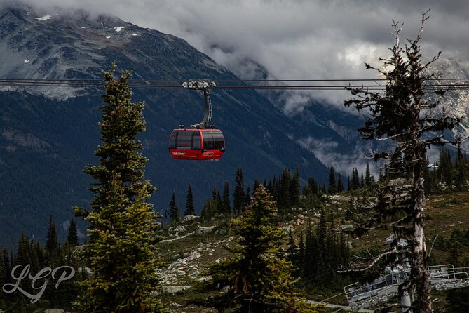 Full-Day Private Tour From Bellingham to Whistler B.C. Canada - Itinerary Overview