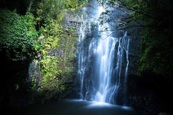 Full Day Small Group Tour of Maui Waterfall, Beach and Hana - Itinerary Overview