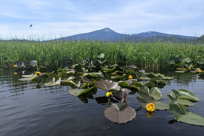 Guided Half-Day Kayak Tour - Whats Included