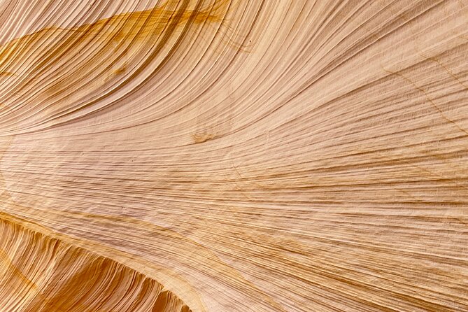 Guided Hike Through Great Chamber/Cutler Point (Small Group) - What to Expect During the Hike