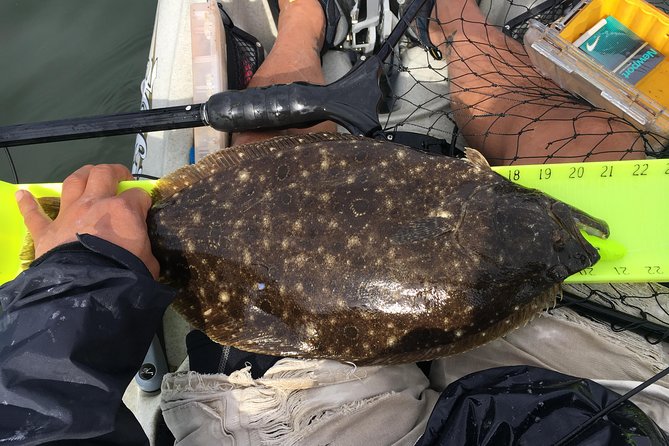 Guided Kayak Fishing Tour - Inclusions and Equipment