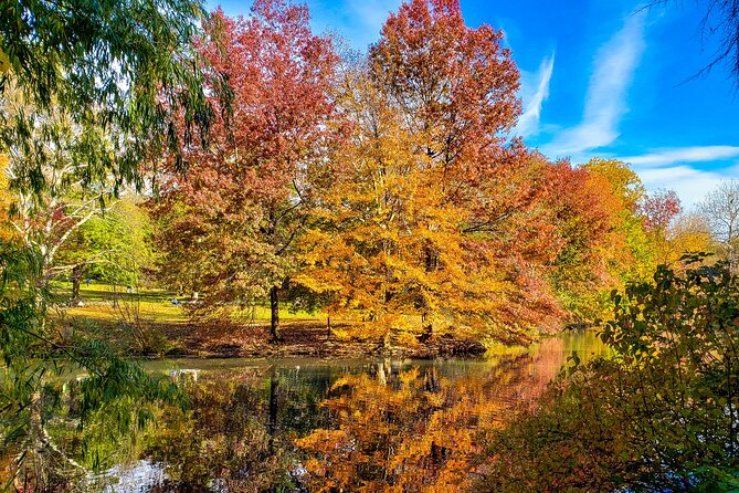 Half-Day Private Walking Tour of Central Park - Operating Hours