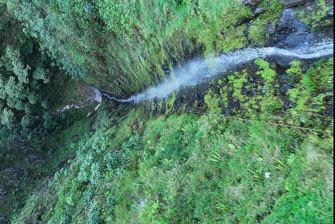 Hawaii Oahu Canyon Rappel & Hike Expedition Tour - Inclusions