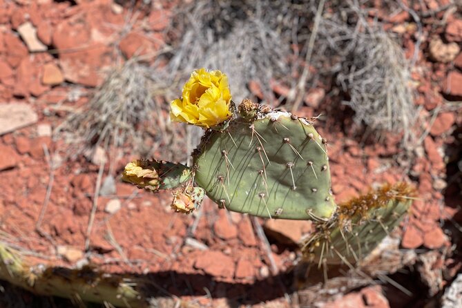 Hike and Heal Couples Relationship in Sedona Healing Red Rocks - The Benefits of Hiking for Couples