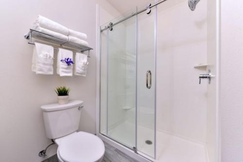 Holiday Inn Express & Suites San Diego - Mission Valley, an IHG Hotel - Guest Reviews and Ratings