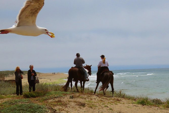 Horseback Ride on the Beach & Alcatraz Tour in San Francisco - Pickup and Drop-off Details