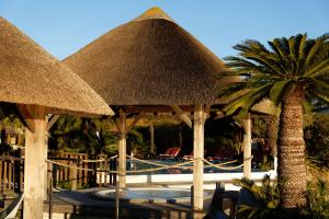 Hotel L'Estelle in Camargue - Accommodation and Room Amenities