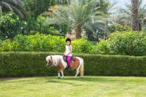 JA The Resort - JA Beach Hotel, Dubai - Accommodation Offerings
