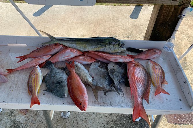Jacksonville Fishing Charter-23 - Confirmation and Accessibility