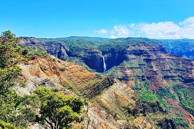 Kauai Private Guided Tour to Waimea Canyon From Nawiliwili - Pricing and Booking Information