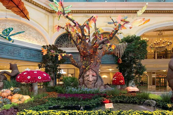 Las Vegas City Tour, Sightseeing With Stops at the Best Casinos - Guided Experience: Languages and Expertise