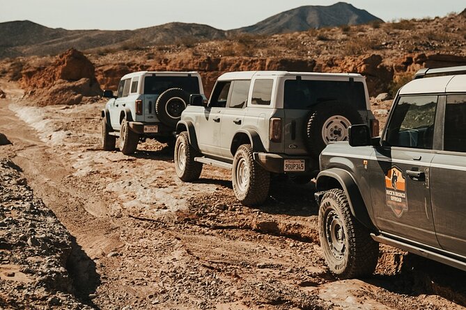 Las Vegas Guided Off-Road Adventure to Echo Bay Wash - What to Expect