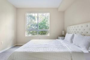 Luxury 2 Bedroom 2 Bathroom With Fitness Center and Pool - Accommodation Features