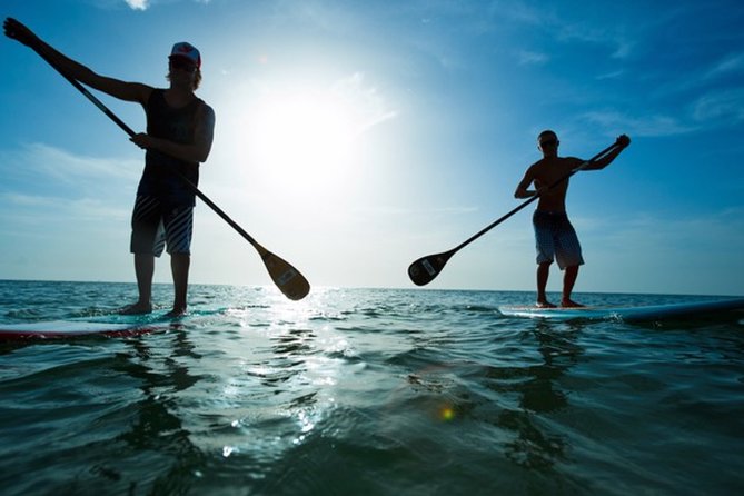 Marina Del Rey Paddleboard Tour - Health and Safety Information