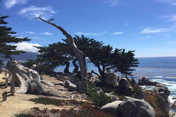 Monterey 1-Day Tour - Discovering the Monterey Bay Aquarium