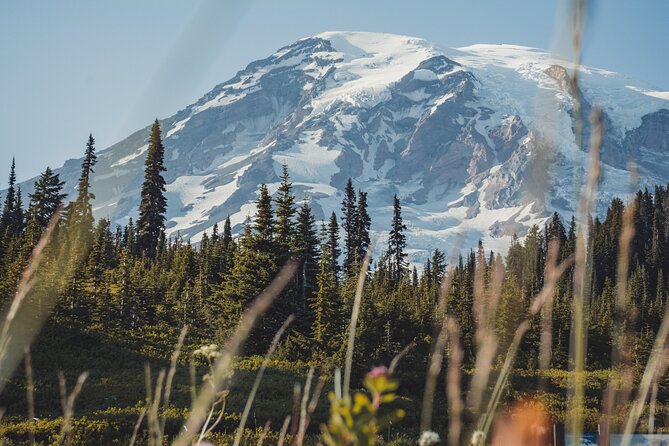 Mount Rainier Full Day Private Tour and Hike (Seattle) - Whats Included in the Experience