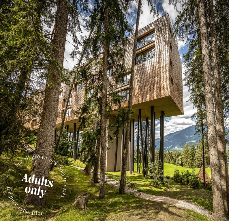 My Arbor – Plose Wellness Hotel Review
