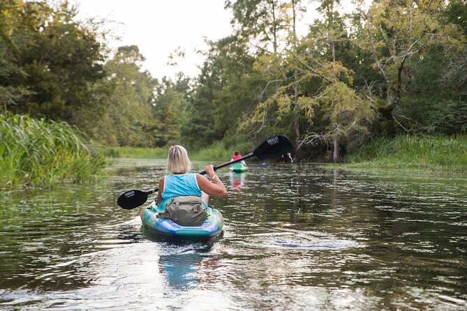 New Orleans Bayou Adventure: Kayak Rental - Kayak Rental Details