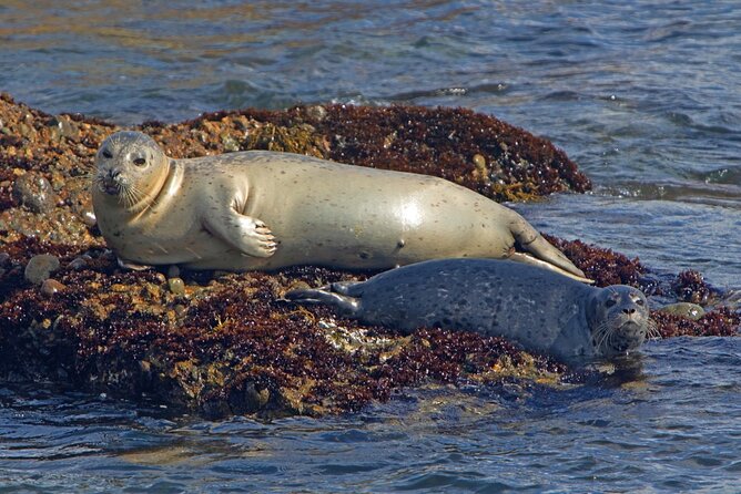 New York City Sightseeing and Seals Boat Tour - Meeting and Departure Information
