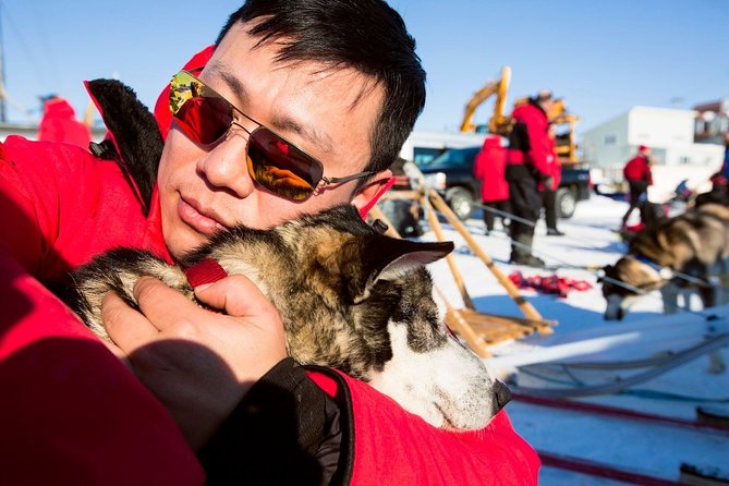 One Hour Experience Dog Sledding - Inclusions