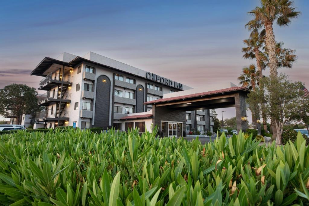 Oxford Suites Lancaster - Facilities and Amenities