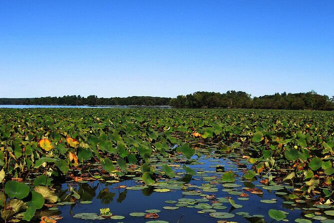 Paddle Board Rental in Indian Lake - Meeting Point