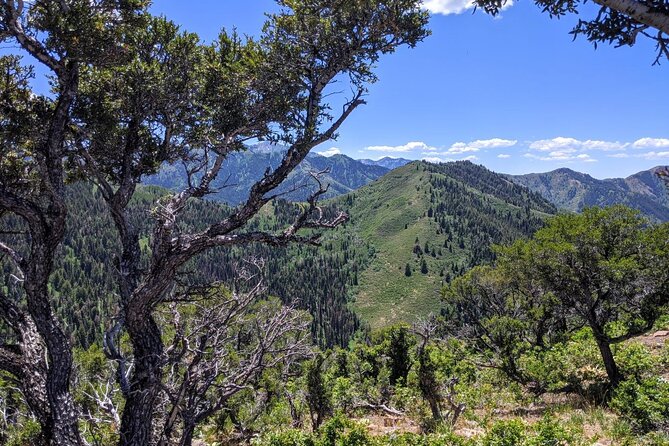 Park City Hiking Activity With Local Guide - Meeting and Pickup Information