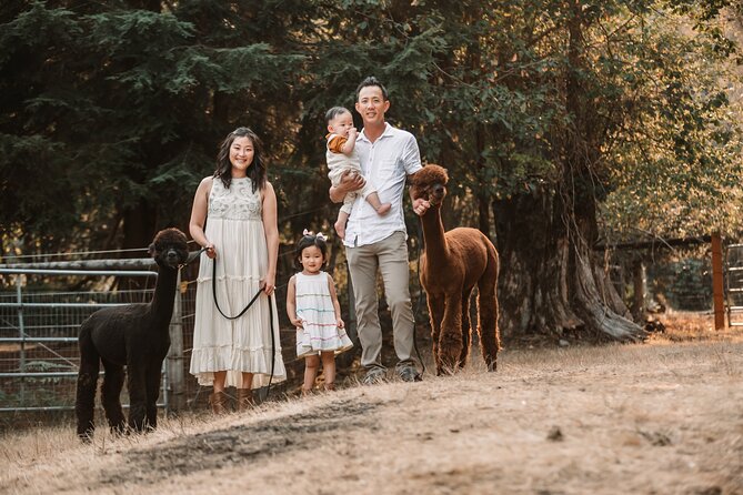 Photoshoot With Alpacas and Farm Experience Near Seattle - Location Details and How to Get There