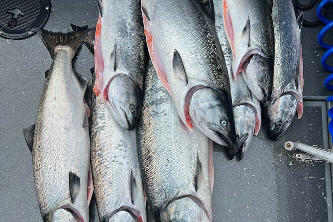Premium Salmon Fishing - 6 Hours for Cruise Ship Guests - Pickup Information