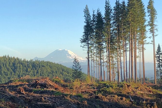 Private Adventure Mountain Biking in Seattles Eastside - Whats Included in Your Adventure
