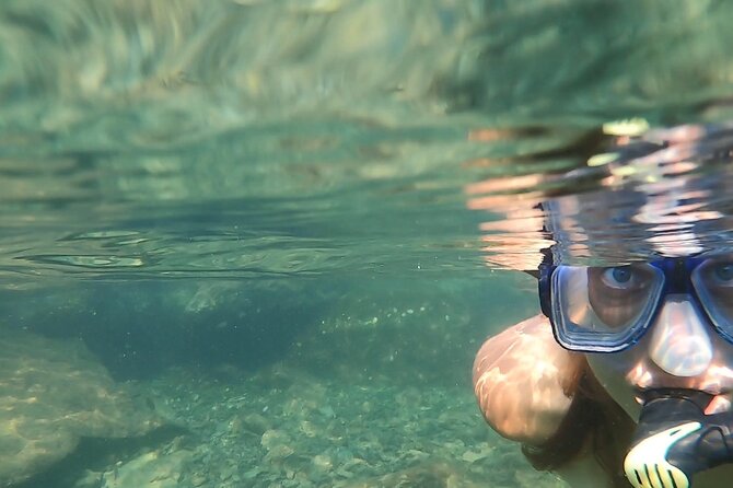 Private Catamaran: Snorkel, Swim and Dolphin Watching - Meeting and Pickup Information