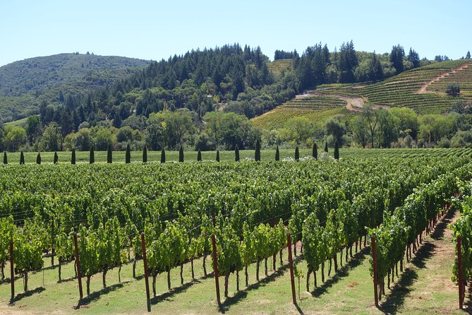 Private, Customized Sonoma Valley Wine Tour - Included and Excluded Services