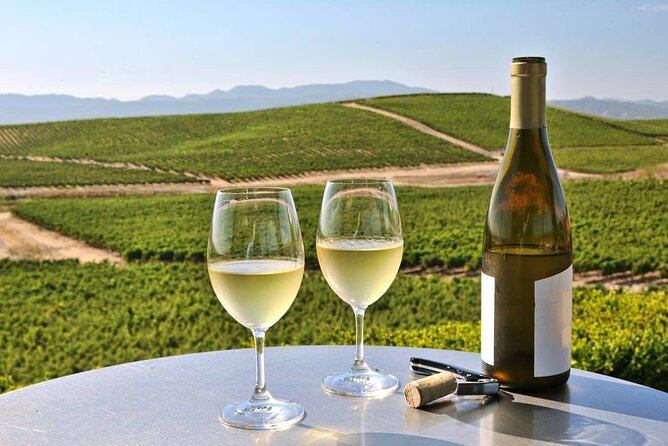 Private Enchanted Napa and Sonoma Wine Tour in SUV From SFO - Inclusions and Amenities