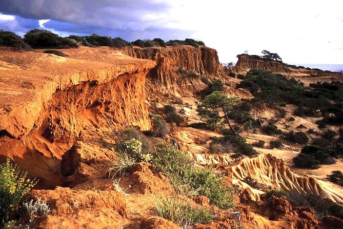 Private Full Day Coastal Tour From San Diego With Private Driver/Guide - Tour Itinerary Highlights