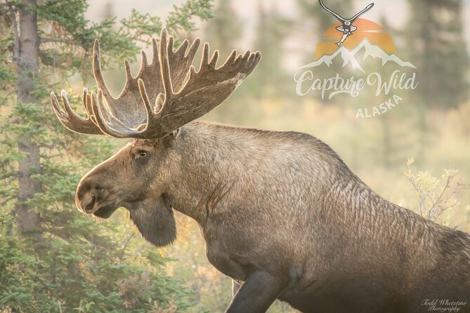 Private Full Day Photography Workshop of Fairbanks - Whats Included in the Photography Workshop