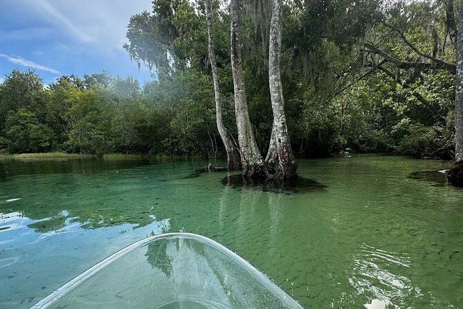 Private Guided Clear Kayak/Paddleboard Rentals on Rainbow River - Meeting Point and Arrival Details