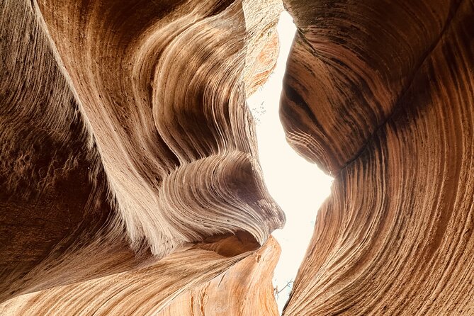 Private Guided Hike Through Buckskin Gulch Wire Pass - What to Expect During the Hike