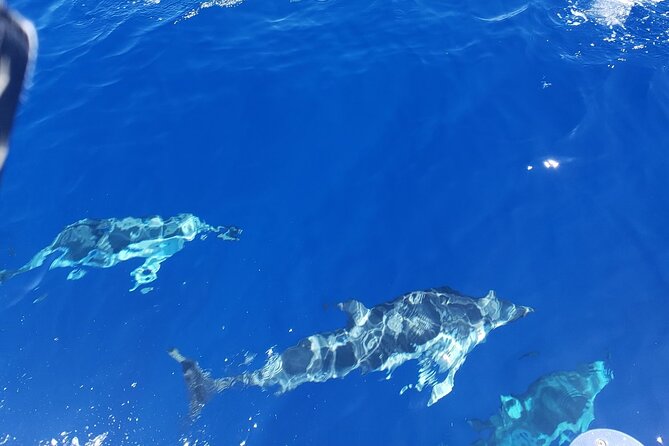 Private Luxury Sailboat Charters of Honolulu - Amenities and Refreshments