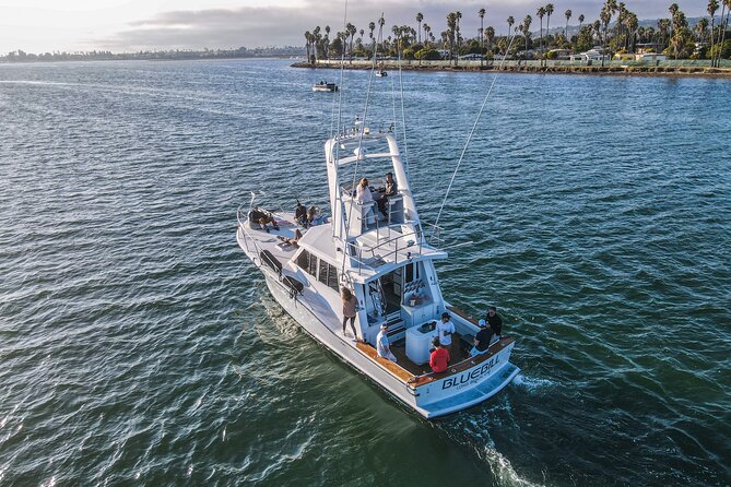 Private Luxury Whale Watching Tour in San Diego - Meeting and Pickup Details