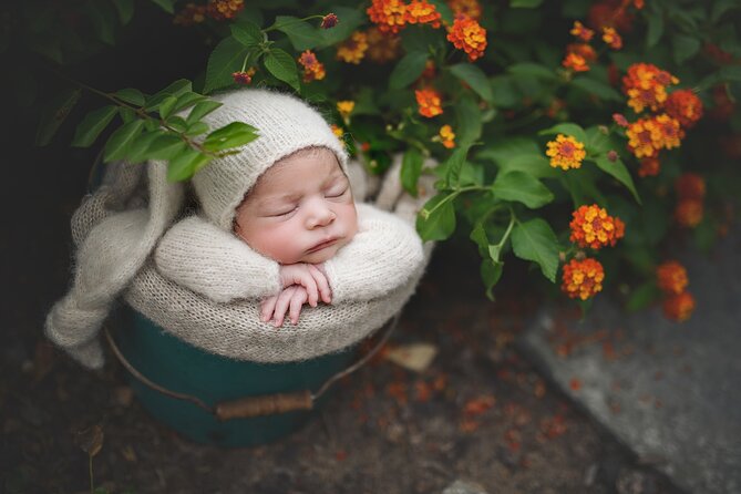 Private Newborn Posing and Photography Mentoring Session - Equipment Recommendations