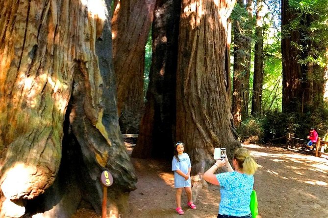 Private Redwoods Tour & Beach Horseback Riding Experience From San Francisco - Pickup Locations and Accessibility